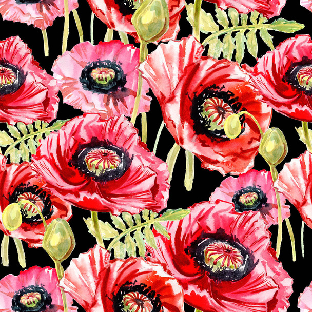 Wildflower poppy flower pattern in a watercolor style. - Фото, зображення