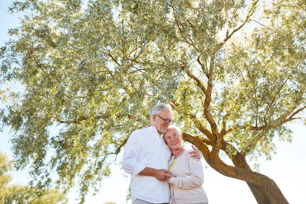 ευτυχισμένο ζευγάρι ηλικιωμένων που αγκαλιάζονται στο καλοκαιρινό πάρκο - Φωτογραφία, εικόνα