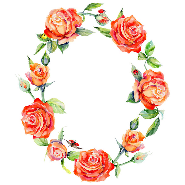 Wildflower rose flower wreath in a watercolor style. - Photo, image