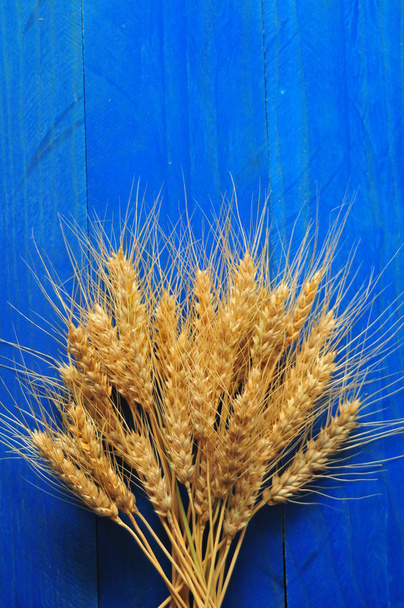 wheat bran on the table - Photo, Image