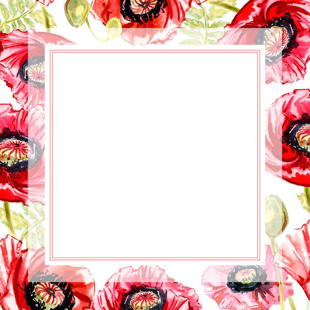 Цветочная рамка из цветка полевого мака в стиле акварели
. - Фото, изображение