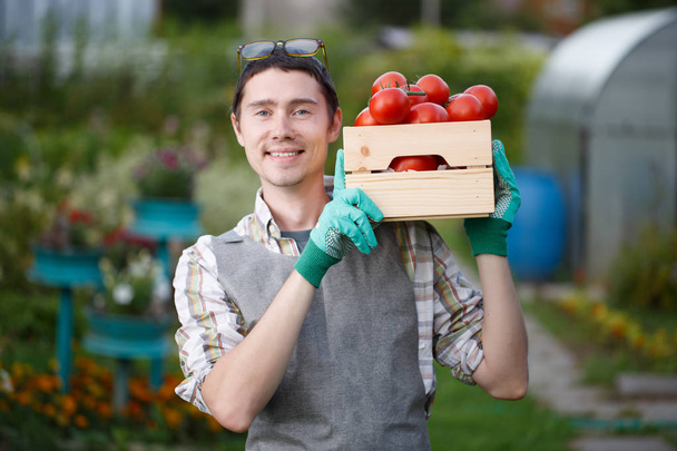 Cheerful guy with tomato harvest - Valokuva, kuva