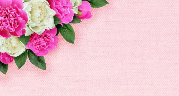 Pink and white peonies flowers corner arrangement on canvas  - Photo, Image