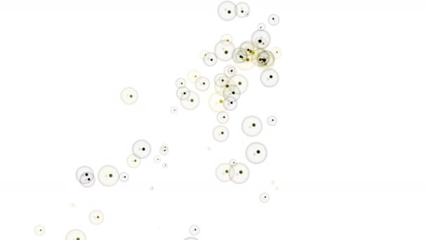 4 k φούσκα αερίου μπάλα τέχνης σωματιδίων υποβάθρου, καθαρό μπαλόνι κυψέλη υποβρύχια. - Πλάνα, βίντεο