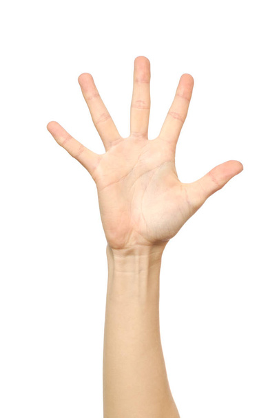 Hand counting. Five fingers. Isolated - Φωτογραφία, εικόνα