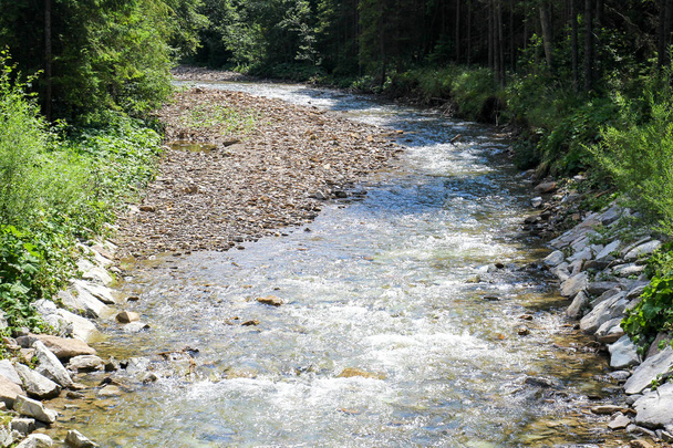 Shallow river in the forest - Photo, Image