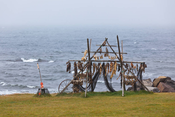 Rack kalojen kuivaukseen Islannissa
 - Valokuva, kuva