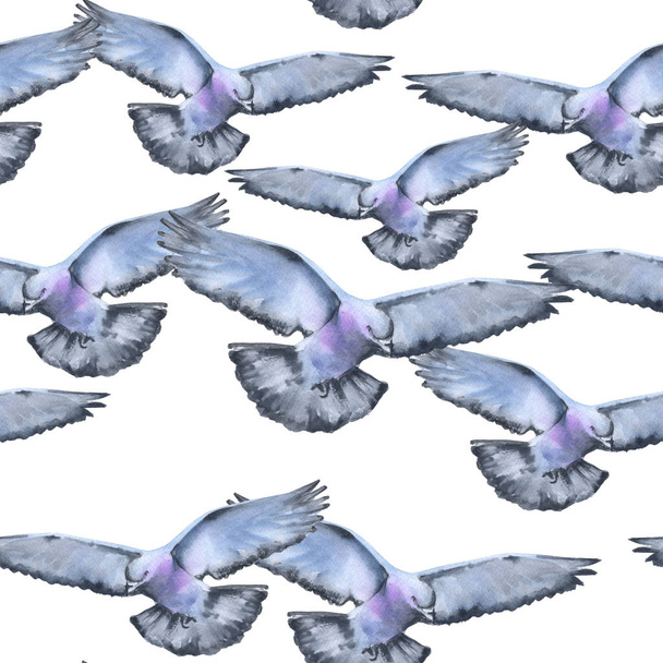 Hintergrund fliegende Tauben. nahtloses Muster.  - Foto, Bild