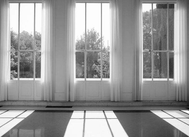 Tři skla okna s bílými stany a výhled na stromy. - Fotografie, Obrázek