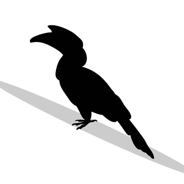 Hornbill bird black silhouette animal - Vetor, Imagem