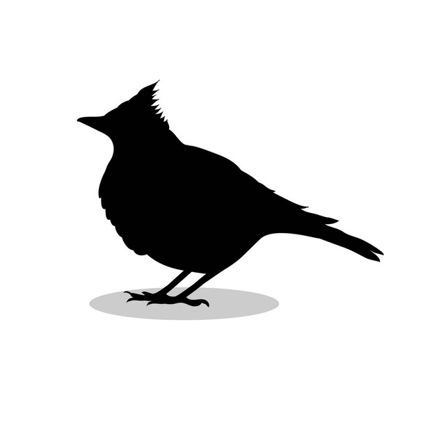 Skylark lark bird black silhouette animal - Вектор,изображение