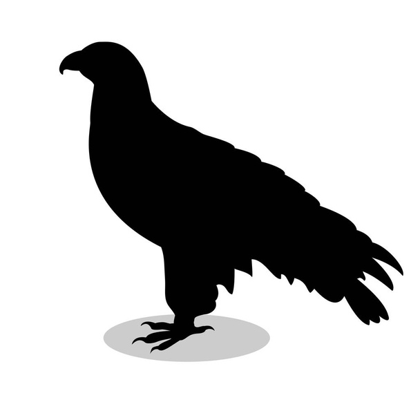 Orlan hawk bird black silhouette animal - Vektor, Bild