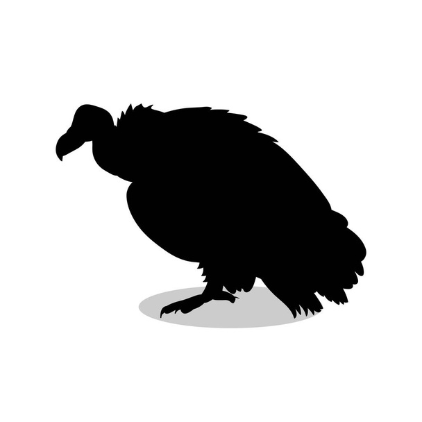 Vulture bird black silhouette animal - Vector, Image