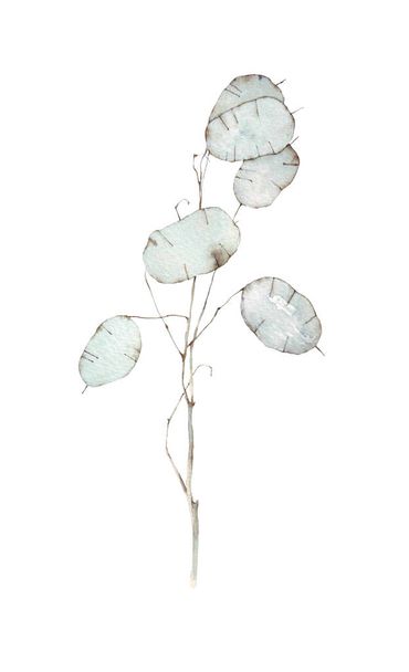 lunar  flowers watercolor isolated - Photo, image