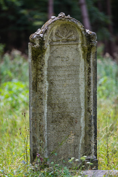 Ancien cimetière juif abandonné
  - Photo, image