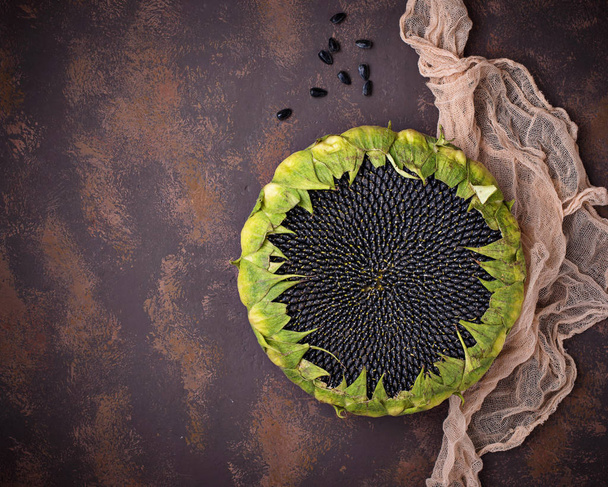 Sunflower with seeds - Valokuva, kuva