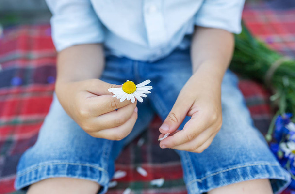The kid hands holding a beautiful daisy. The boy makes a wish. - Photo, image