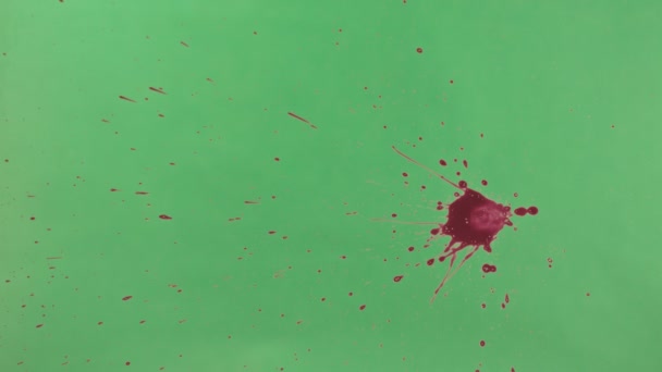 Κόκκινο μελάνι πιτσιλίσματα πάνω από την πράσινη οθόνη φόντου - Πλάνα, βίντεο