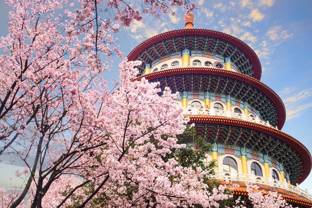 beautiflu sakura garden s krásnou oblohu v Taipei, Tchaj-wan - Fotografie, Obrázek
