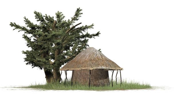 cabaña de paja y árbol - aislado sobre fondo blanco
 - Foto, imagen