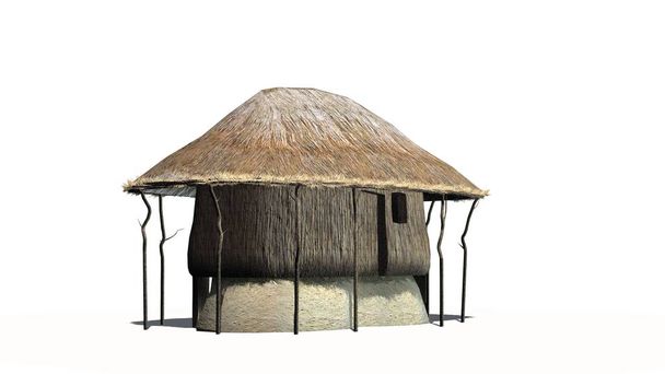 Riet hut - geïsoleerd op witte achtergrond - Foto, afbeelding