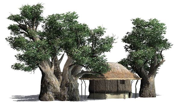 cabana de palha e árvores - isolado no fundo branco
 - Foto, Imagem