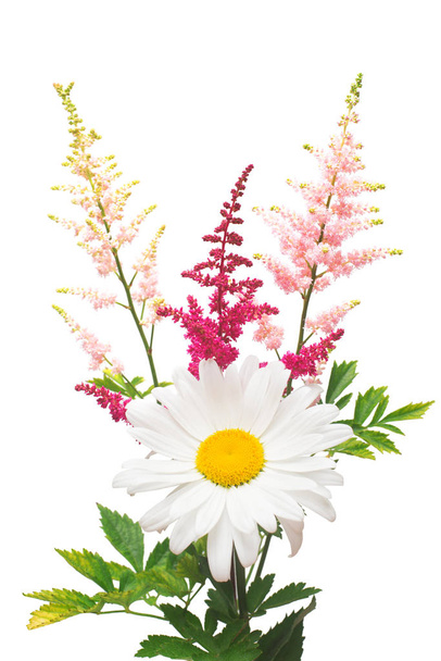 Flowers of chamomile and astilbe in a bouquet isolated on white  - Photo, Image
