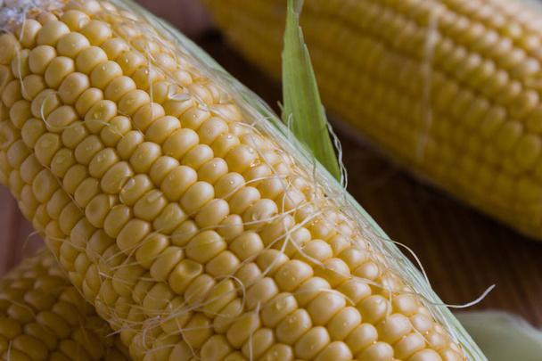 ripe sweet corn  - Φωτογραφία, εικόνα