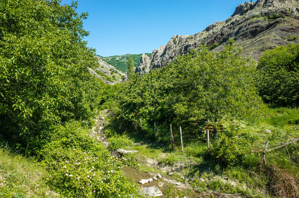 Wąwóz górski, Crimea - Zdjęcie, obraz