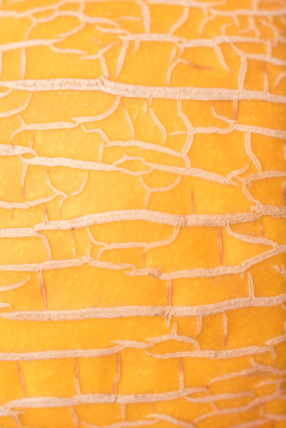 Close up shot of melon's skin - Фото, зображення