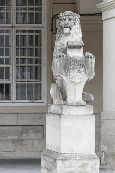 La estatua de un león en Lviv, Ucrania
 - Foto, Imagen