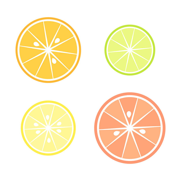 Citrus slices illustration - Vector, imagen