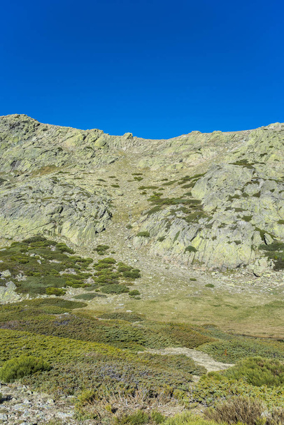 Pinceaux rembourrés dans le parc national des Monts Guadarrama
 - Photo, image