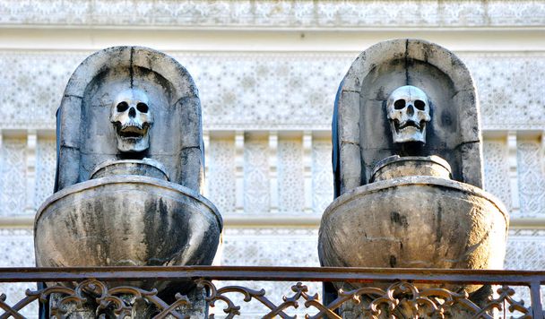 Головы скелетов внутри склепов
 - Фото, изображение