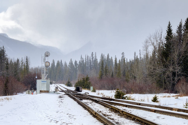Interruttore ferroviario e segnale in una giornata invernale nebbiosa
 - Foto, immagini