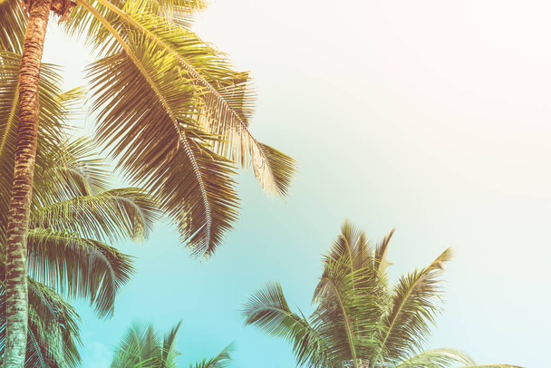 Palmeras altas en una playa tropical
 - Foto, Imagen