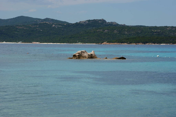 Spiaggie della Sardegna - Foto, imagen