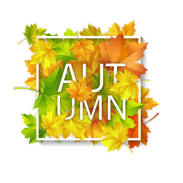 Tarjeta de otoño con hojas de arce rojo, amarillo y verde
 - Vector, imagen