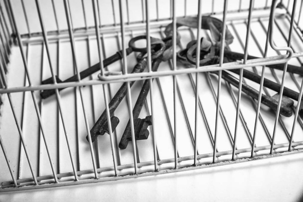 Bir kafes içinde kilitli tuşları - Fotoğraf, Görsel