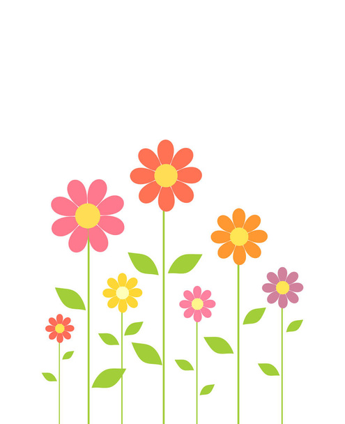 Spring colorful flowers  - Vector, imagen