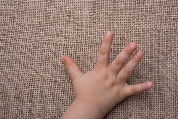 Mão de criança com fundo de lona
 - Foto, Imagem