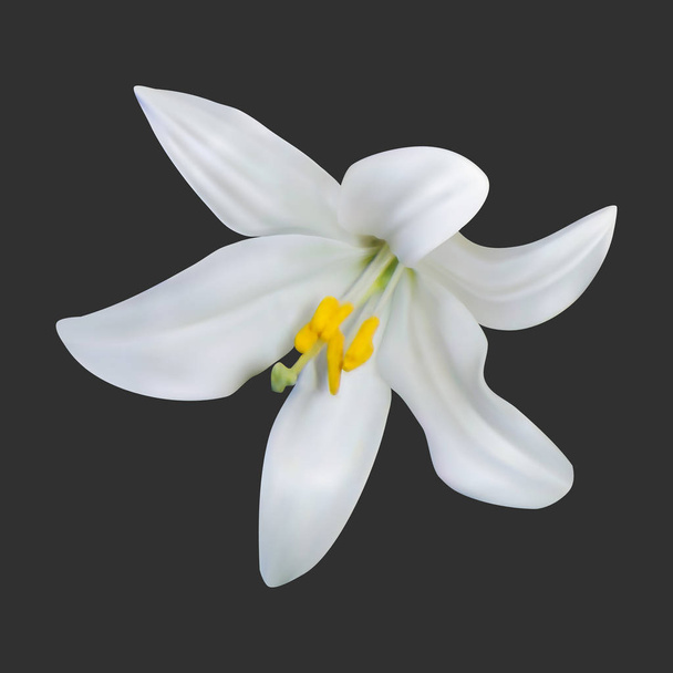 Realistyczne białej lilii na ciemnym tle - Wektor, obraz