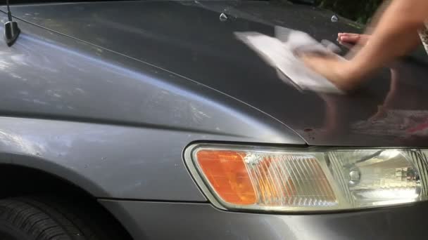 die Motorhaube eines grauen Lieferwagens waschen - Filmmaterial, Video