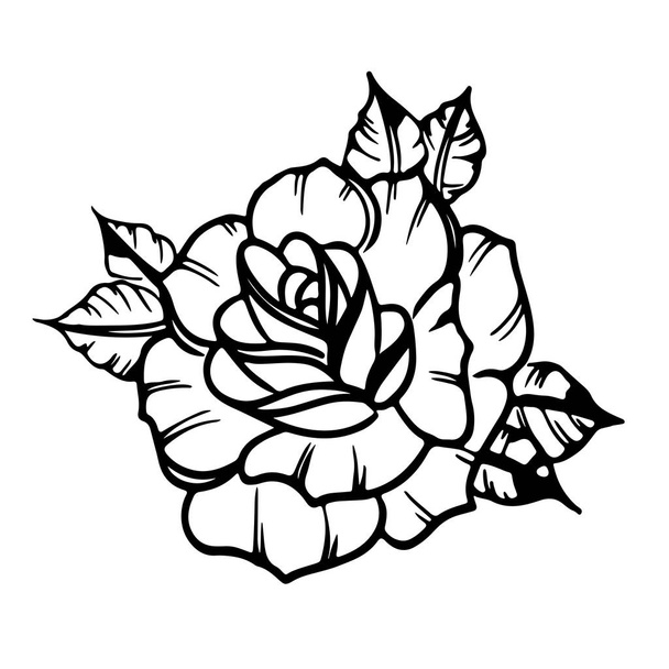 Rose close-up - Vector, Image