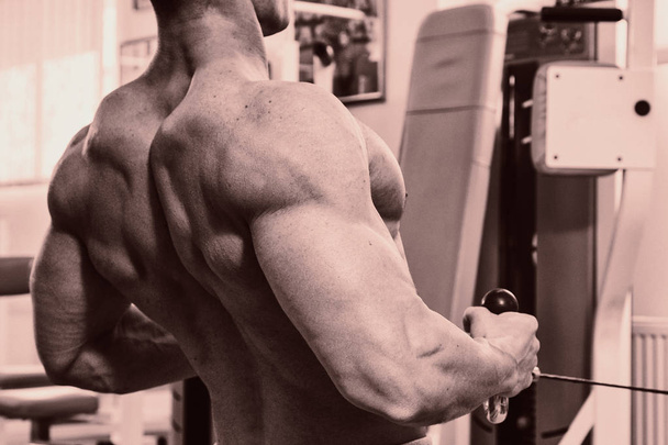A man with a barbell exercise on biceps - Photo, Image