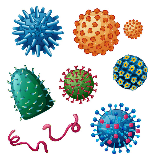 Diversi tipi di virus su bianco
 - Vettoriali, immagini