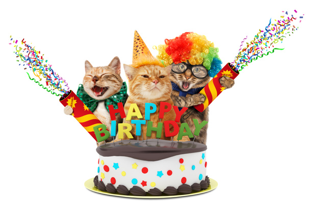 Srandovní kočky se zapalovačem a narozeninový dort. Mají na sobě sváteční oblečení, izolované na bílém pozadí. - Fotografie, Obrázek