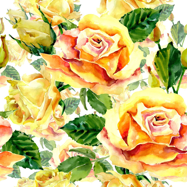 Vadvirág Rózsa virág minta akvarell stílusú. - Fotó, kép