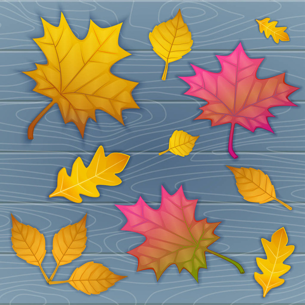 illustrazione vettoriale delle foglie autunnali su sfondo blu legno. vista dall'alto
 - Vettoriali, immagini