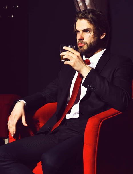 bearded man, businessman holding glass of whiskey in red chair - Fotografie, Obrázek